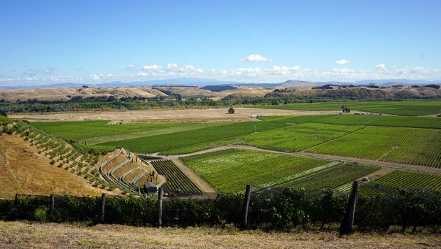 Blick über die Gimblett Gravels, einer der bekanntesten Appellationen Neuseelands, Copyright: C. Raffelt